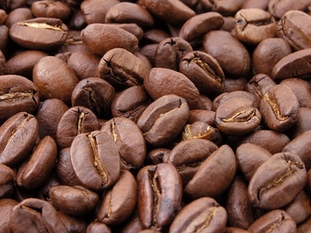 قهوه بعنوان کود خانگی برای کاکتوس