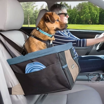 صندلی و باکس خودرویی سگ