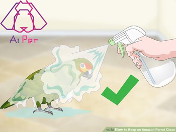 استحمام کردن پرنده