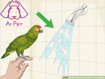 استحمام پرنده