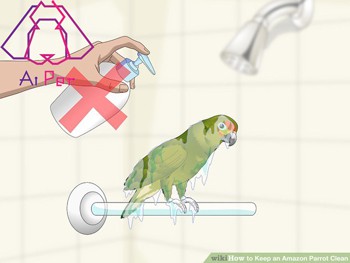 حمام کردن پرندگان