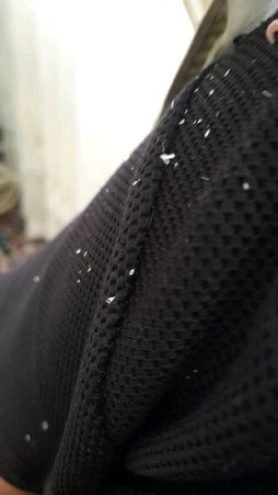 آی پت