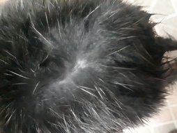 آی پت