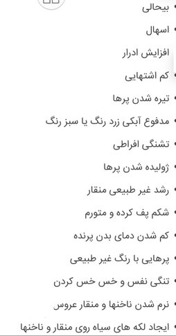 آی پت