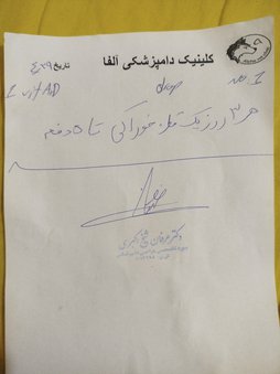 آی پت
