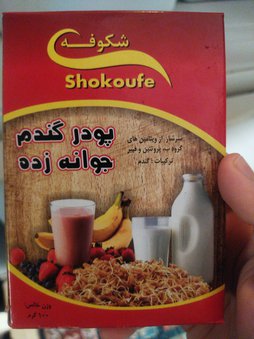 آی پت