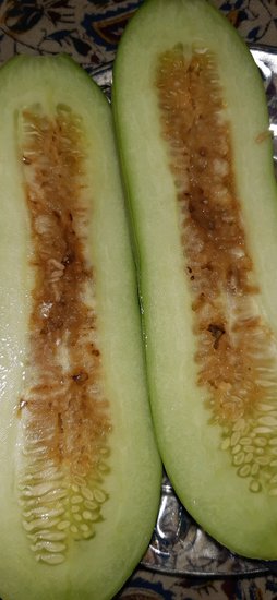 آریس