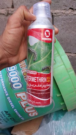 آریس