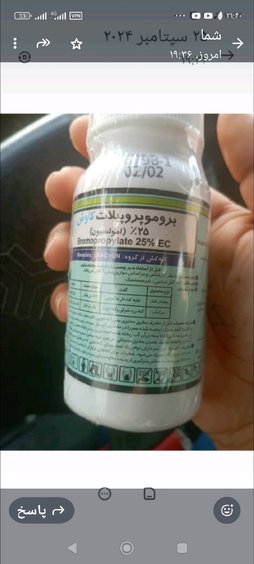 آریس