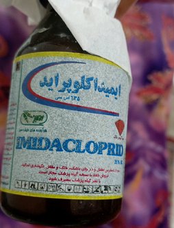 آریس
