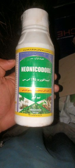 آریس