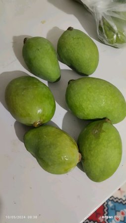 آریس