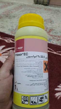 آریس