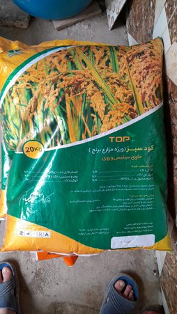 آریس