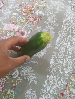 آریس