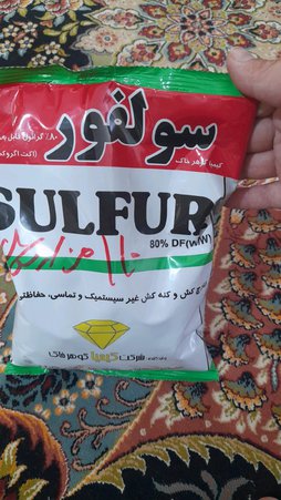 آریس