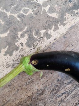آریس