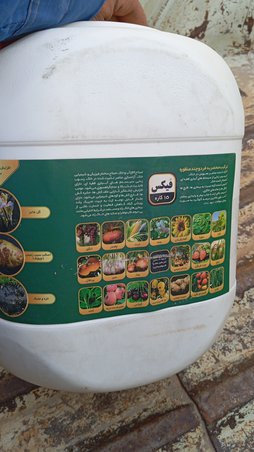 آریس
