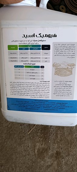 آریس