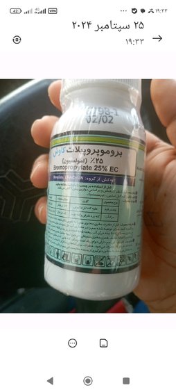 آریس