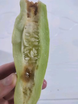 آریس