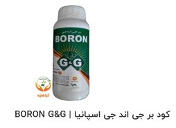 محلول پاشی