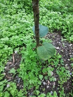 سلام وقت بخیر