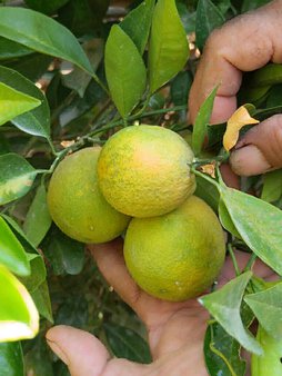 علائم کمبود یا بیماری