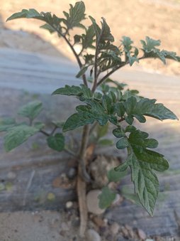 ایست بعداز بارندگی