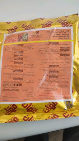 آریس
