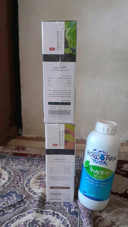 آریس
