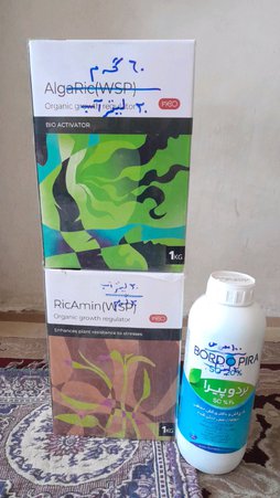 آریس