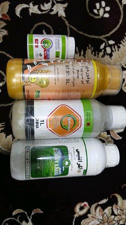 آریس