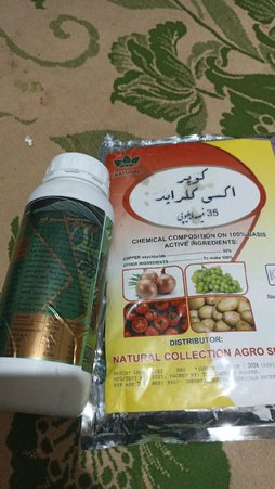 آریس