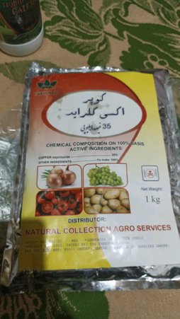 آریس