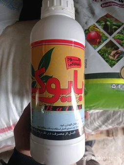 زمان مصرف سم