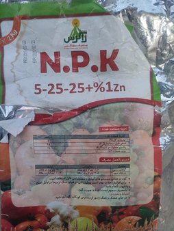 آریس