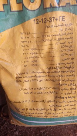 آریس