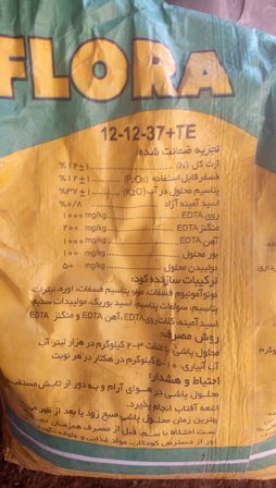 آریس