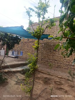 آریس
