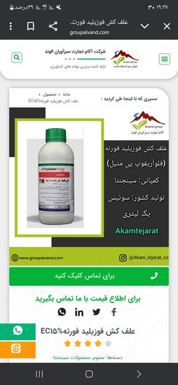 فورته برای ازبین بردن نیزار