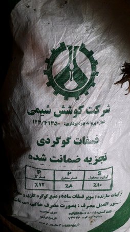 آریس