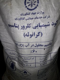 آریس