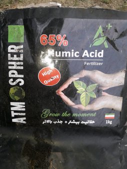 آریس