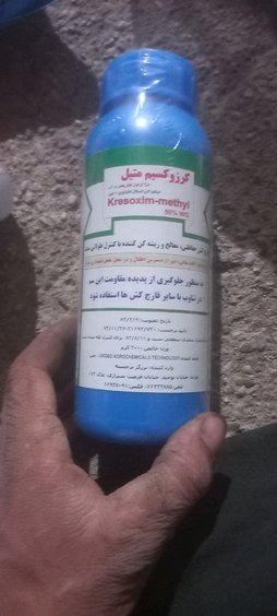 آریس