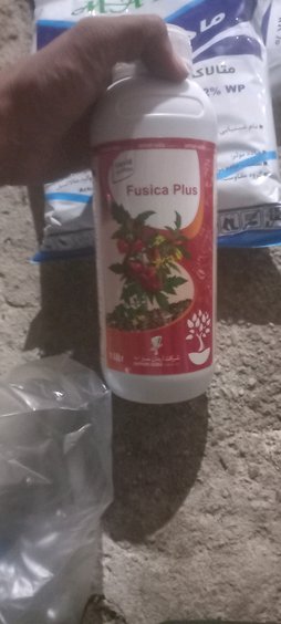آریس