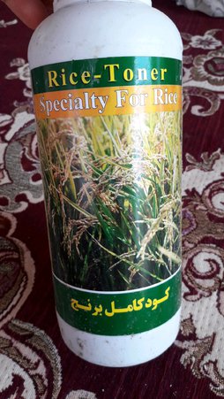آریس