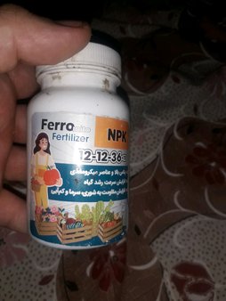 آریس