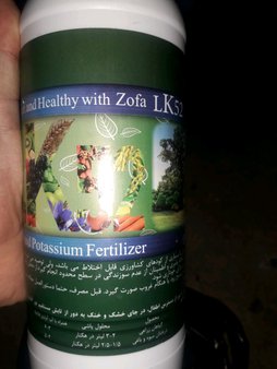 کود دهی