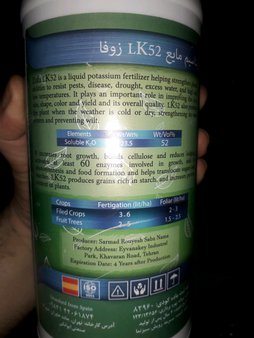 آریس